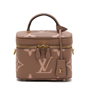 Louis Vuitton Vanity PM Bag Grey Boise de Rose 86628946
