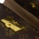 Louis Vuitton Monogram Cluny Mini Bag Brown 81258598