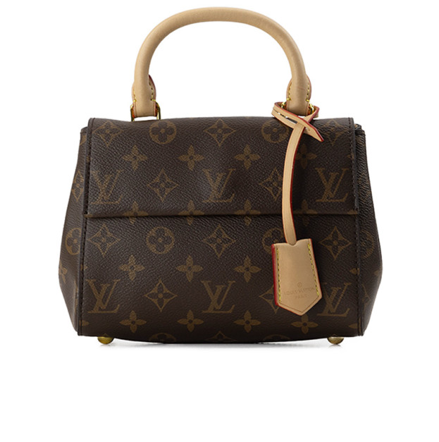 Сумка Louis Vuitton Monogram Cluny Mini Brown 81258598