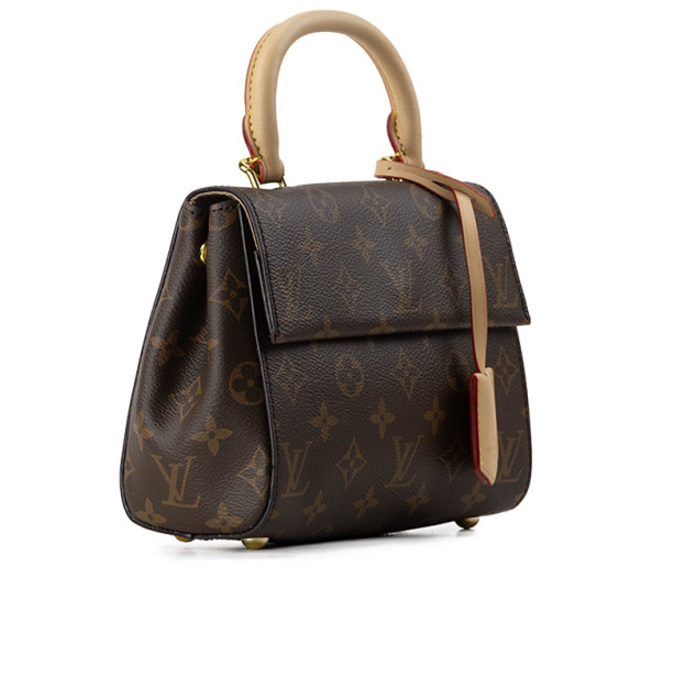 Сумка Louis Vuitton Monogram Cluny Mini Brown 81258598