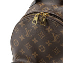 Рюкзак Louis Vuitton Palm Springs Backpack Monogram Coated Canvas 2160700252739