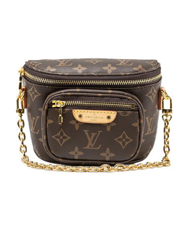 Louis Vuitton Monogram Shoulder Bag Brown JC1635740